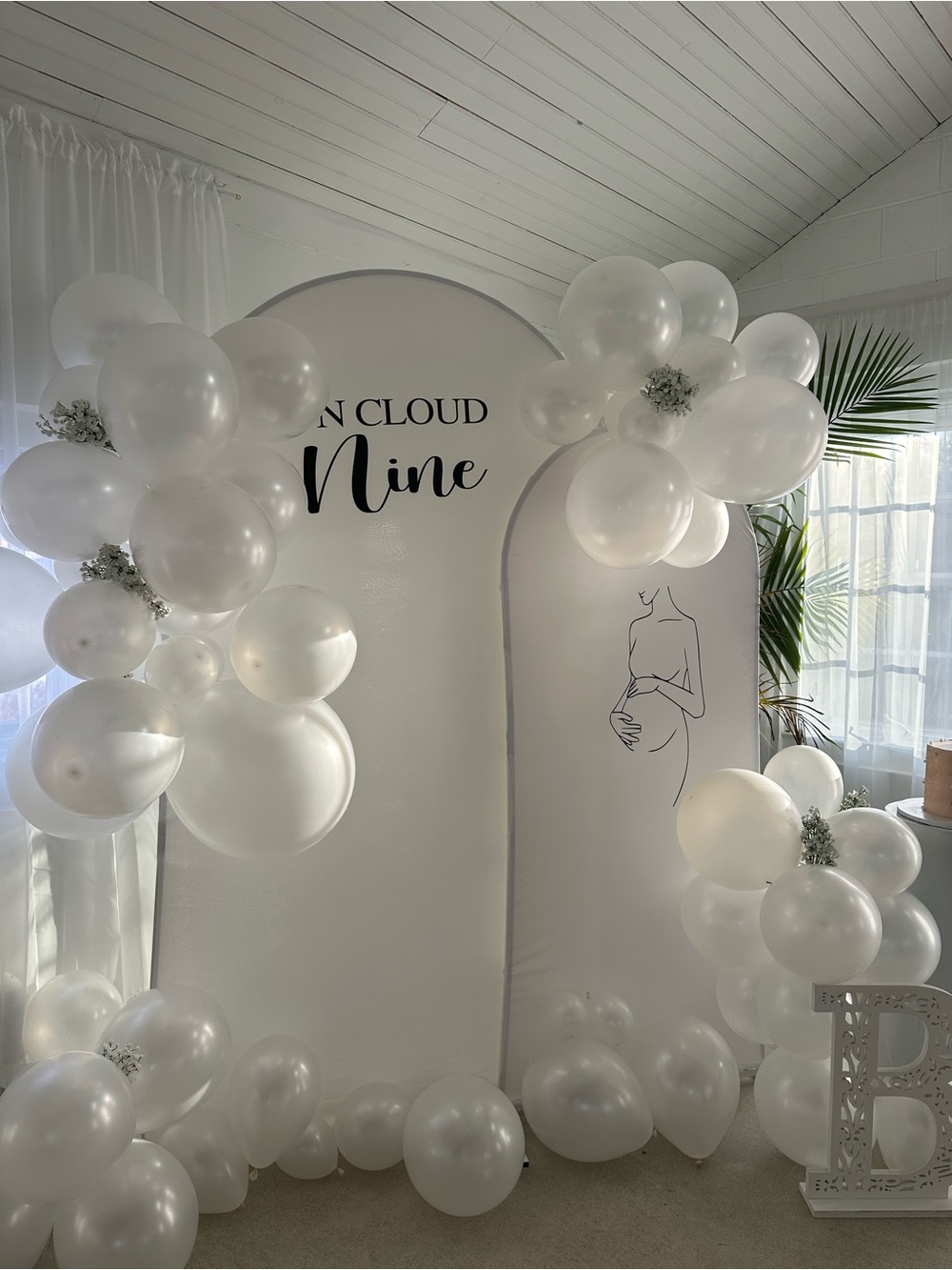 Baby Shower Arch Cover Backdrop Decor